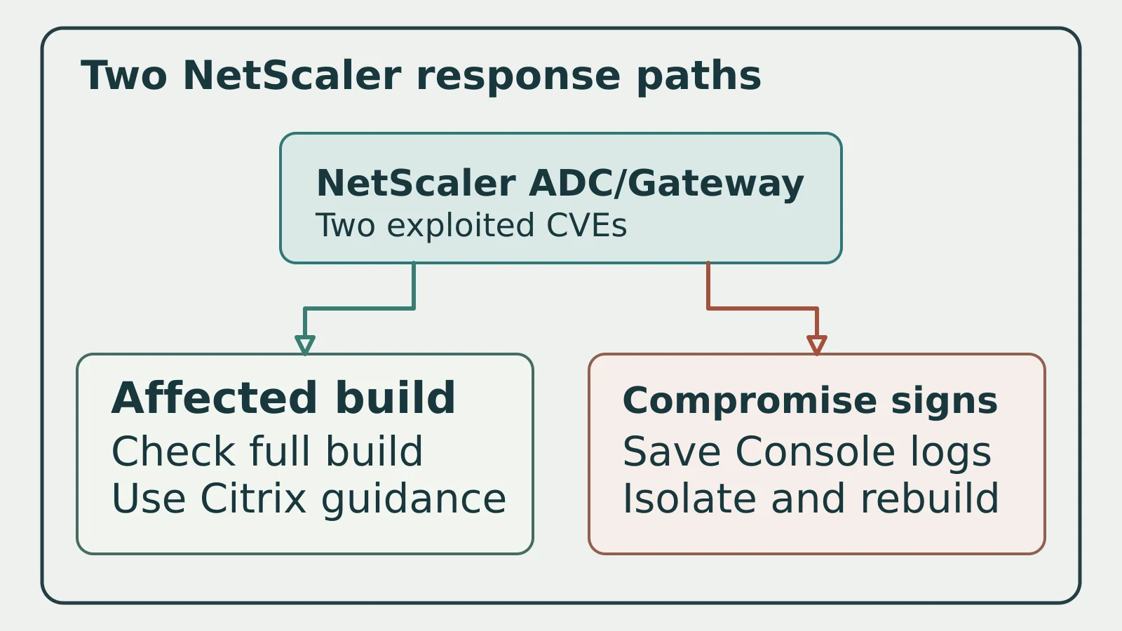 A NetScaler ADC and Gateway node branches to an affected-build path and a separate compromise-signs path.